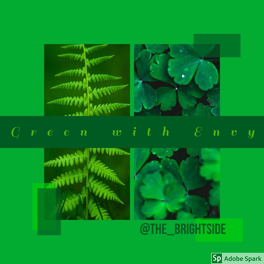 💚💚💚💚💚💚